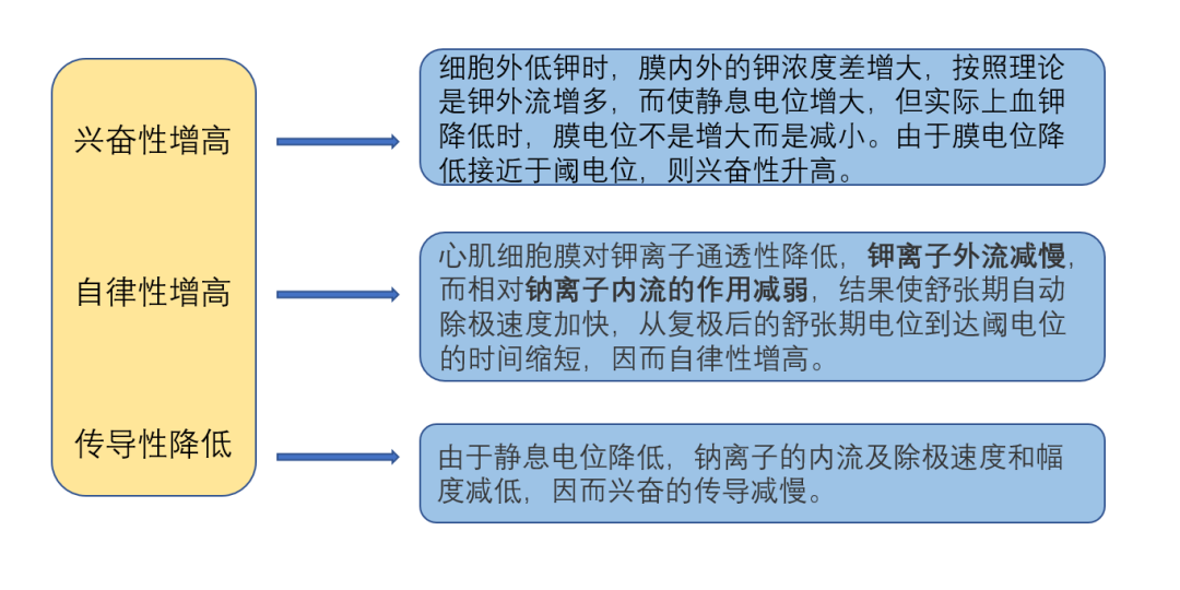 低钾血症诱发心律失常的机制