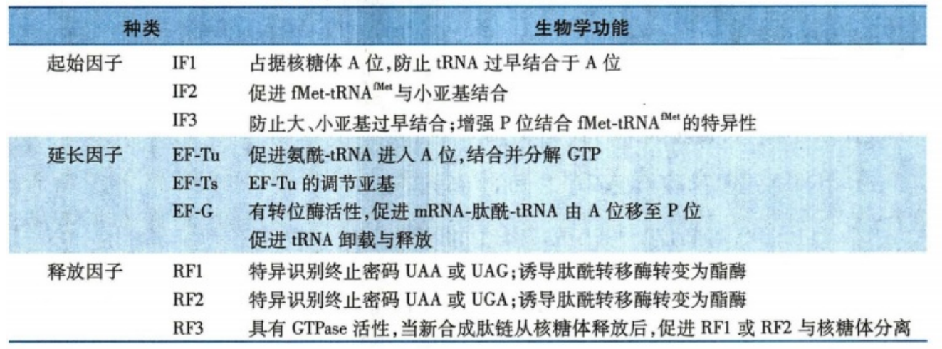 原核生物肽链合成所需要的蛋白质因子