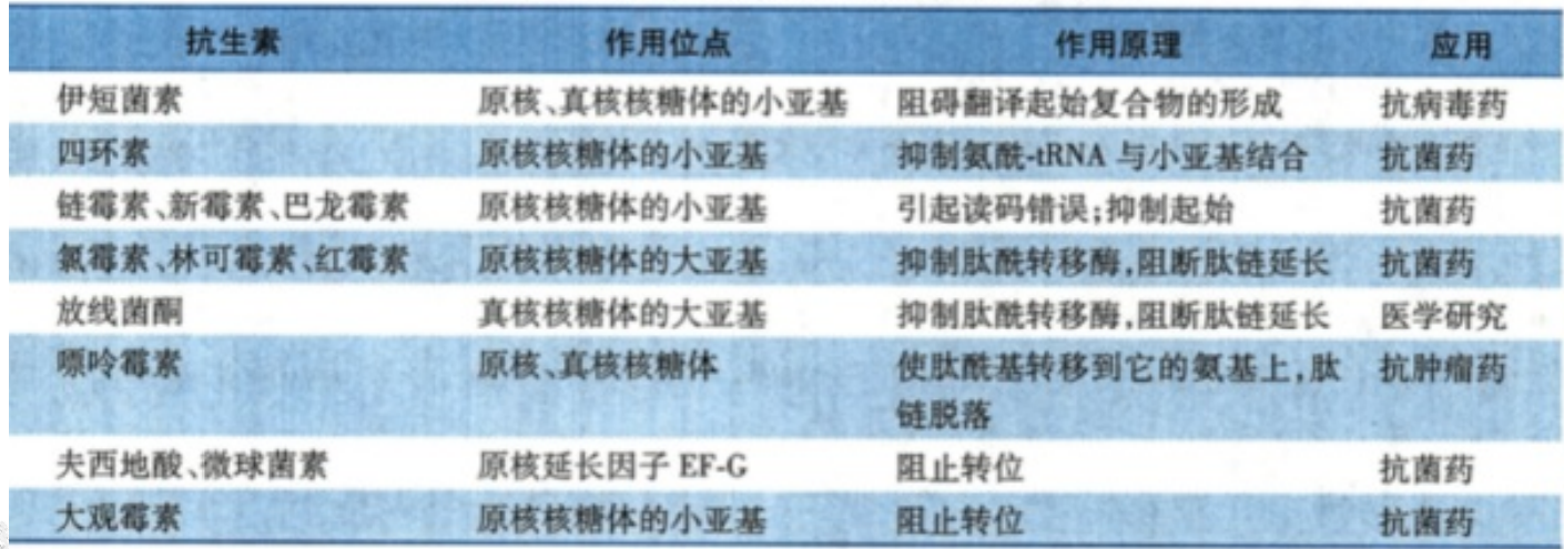 常见抗生素抑制肽链合成的原理即应用