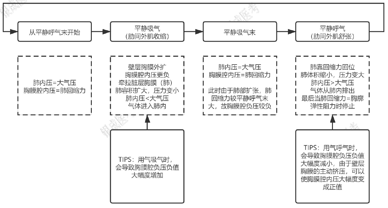 呼吸过程