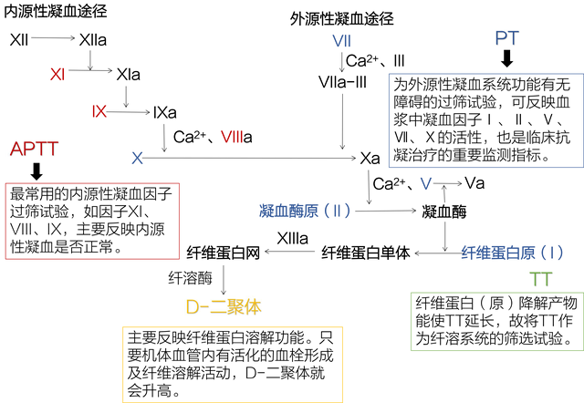 生理性止血相关检查